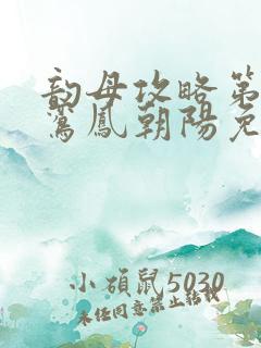 韵母攻略第二部鸾凤朝阳免费