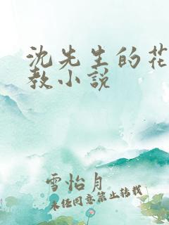 沈先生的花式调教小说