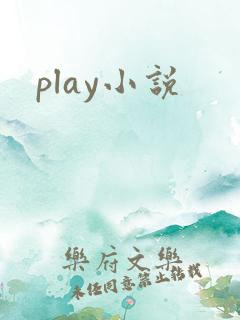 play小说