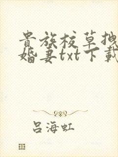 贵族校草拽拽未婚妻txt下载
