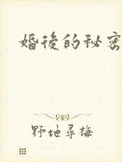 婚后的秘密张妍