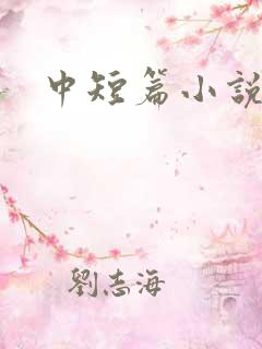 中短篇小说集