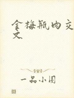 金梅瓶肉交白话文