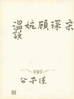 温婉顾琛宋芝小说