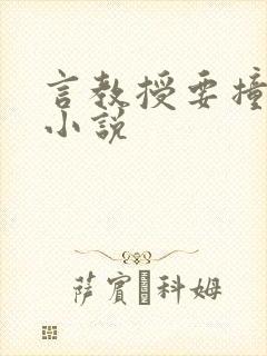 言教授要撞坏了小说