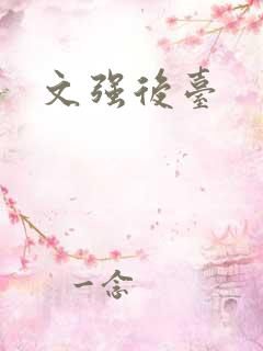 文强后台