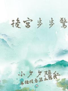 后宫步步惊心