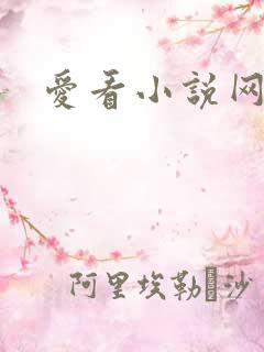 爱看小说网