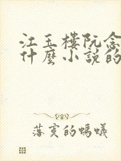 江玉楼阮念笙是什么小说的名字