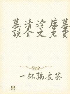 慕清泠席慕深小说全文免费阅读