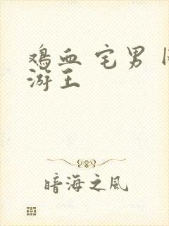 鸡血 宅男 网游王