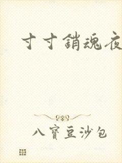 寸寸销魂夜春光