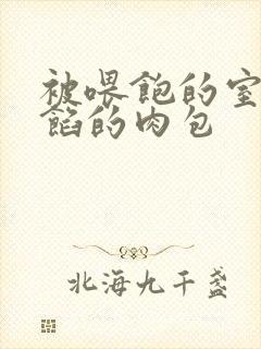 被喂饱的室友爆馅的肉包