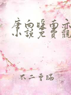 唐向暖南亦琛的小说免费观看