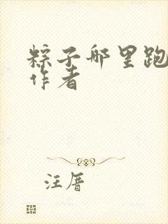 粽子哪里跑小说作者