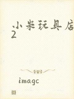 小米玩具店老板2