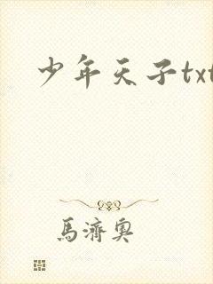 少年天子txt
