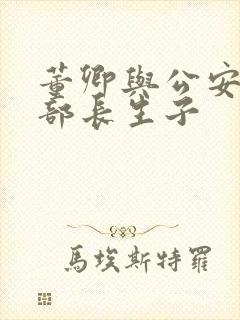 董卿与公安部副部长生子