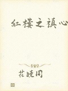 红楼之禛心锁玉