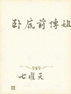 卧底前传姐妹篇