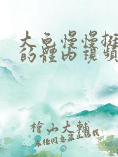 大龟慢慢挺进我的体内视频