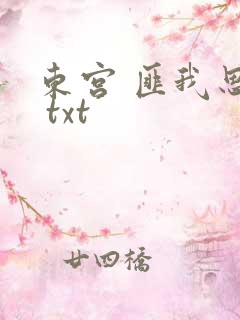 东宫 匪我思存 txt