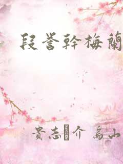 段誉干梅兰竹菊