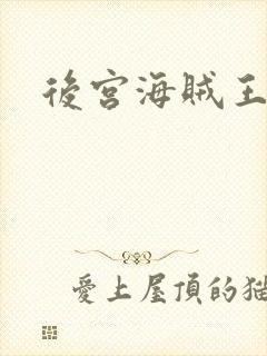 后宫海贼王