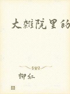 大杂院里的女人