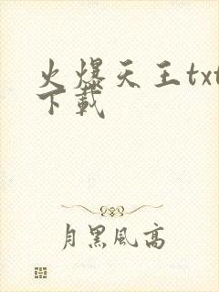 火爆天王txt下载