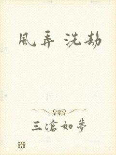 风弄 洗劫