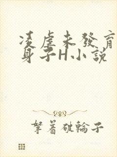 凌虐未发育的小身子H小说