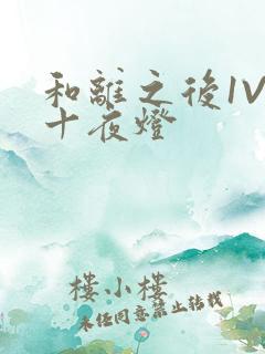 和离之后1V1十夜灯