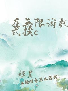 在无限游戏里花式挨c