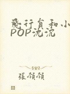 飞行员和小空乘POP沈沉