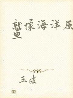 就像海洋原谅了鱼