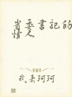 省委书记的秘密情人