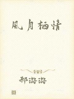 风月栖情