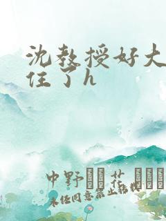 沈教授好大含不住了h