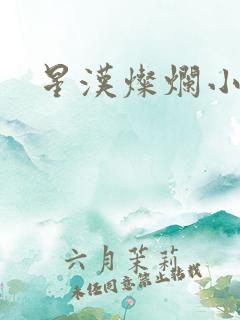 星汉灿烂小说