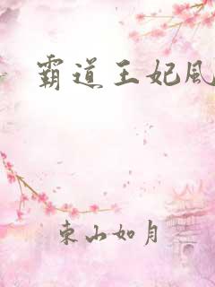 霸道王妃风流王