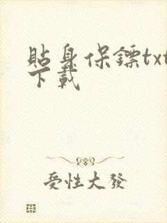 贴身保镖txt下载