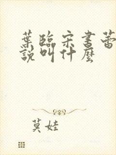 叶临宋书蕾的小说叫什么