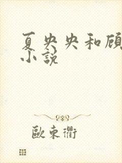 夏央央和顾祁琛小说