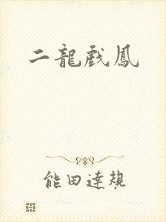 二龙戏凤