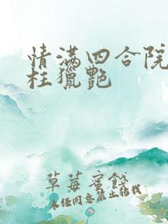 情满四合院之傻柱猎艳