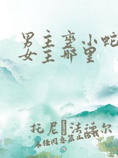 男主变小蛇钻进女主哪里