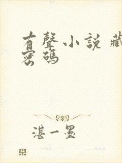 有声小说 藏地密码