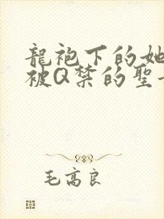 龙袍下的她皇嫂被Q禁的圣女