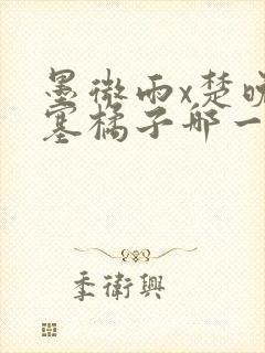 墨微雨x楚晚宁塞橘子哪一章